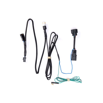 DENALI Plug-&-Play Universal CANsmart Adapter for Royal Enfield Himalayan 450 '24+