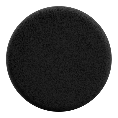 Packtalk Outdoor Sponge for Student Speakers