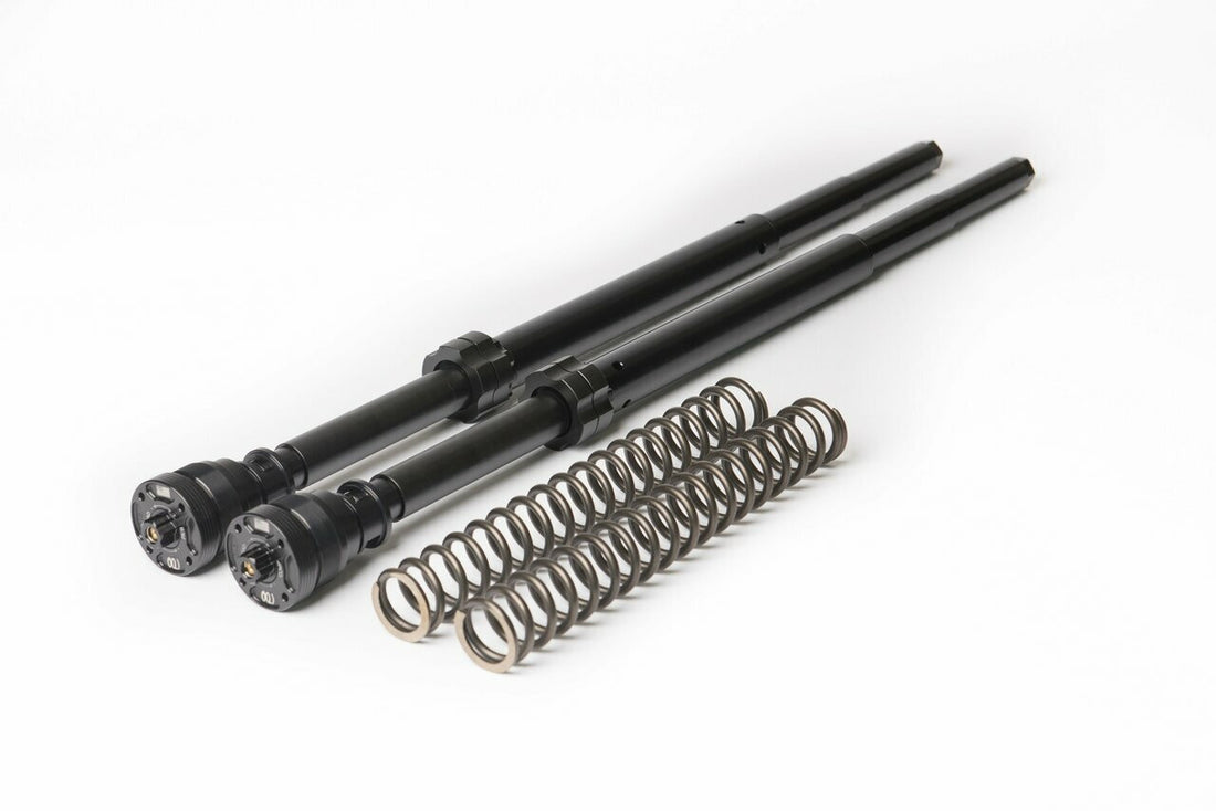 GP Cartridge Kit - Fatbob, Lowrider S